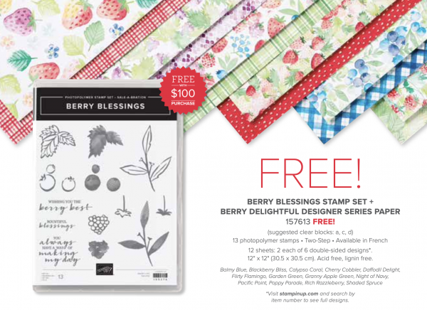 Berry Blessings Stamp Set + Berry Delightful DSP, 157613
