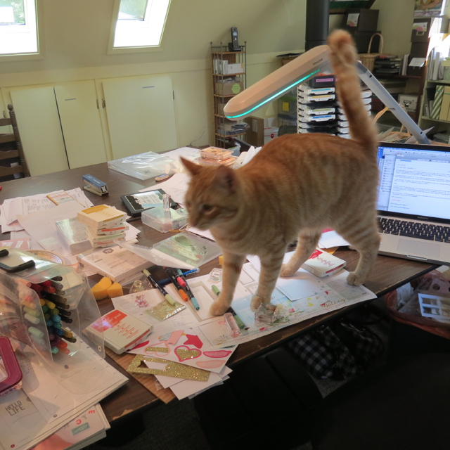 Fred takes over my work space